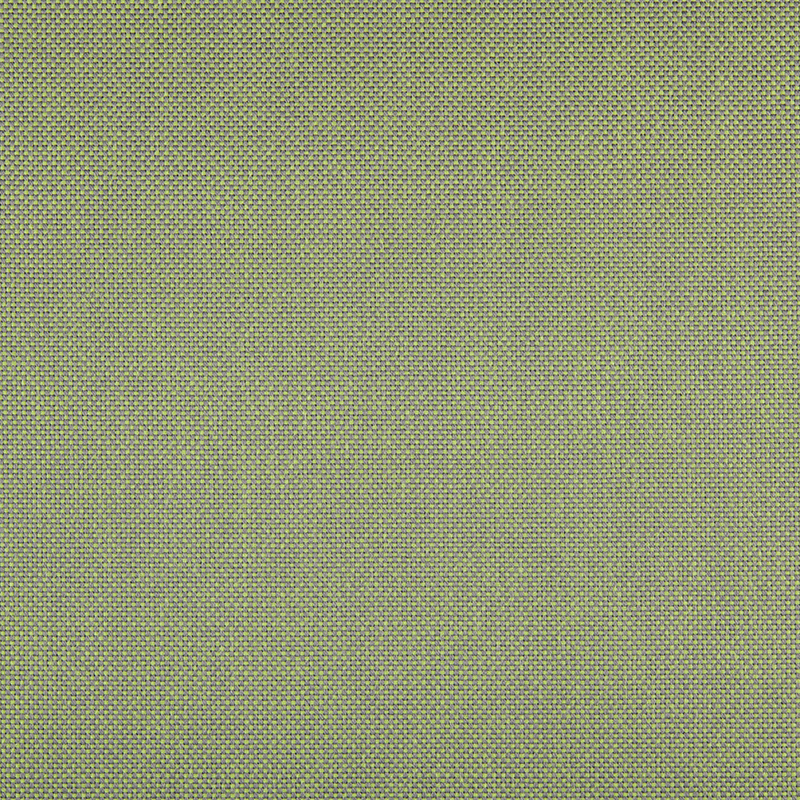 3666_AG_PANAMA_VERDE