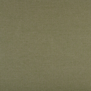 Alga