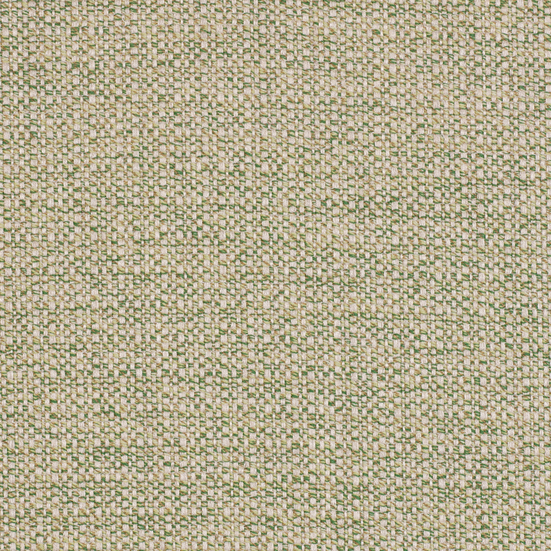 20583_AG_ZARIA_FRESH